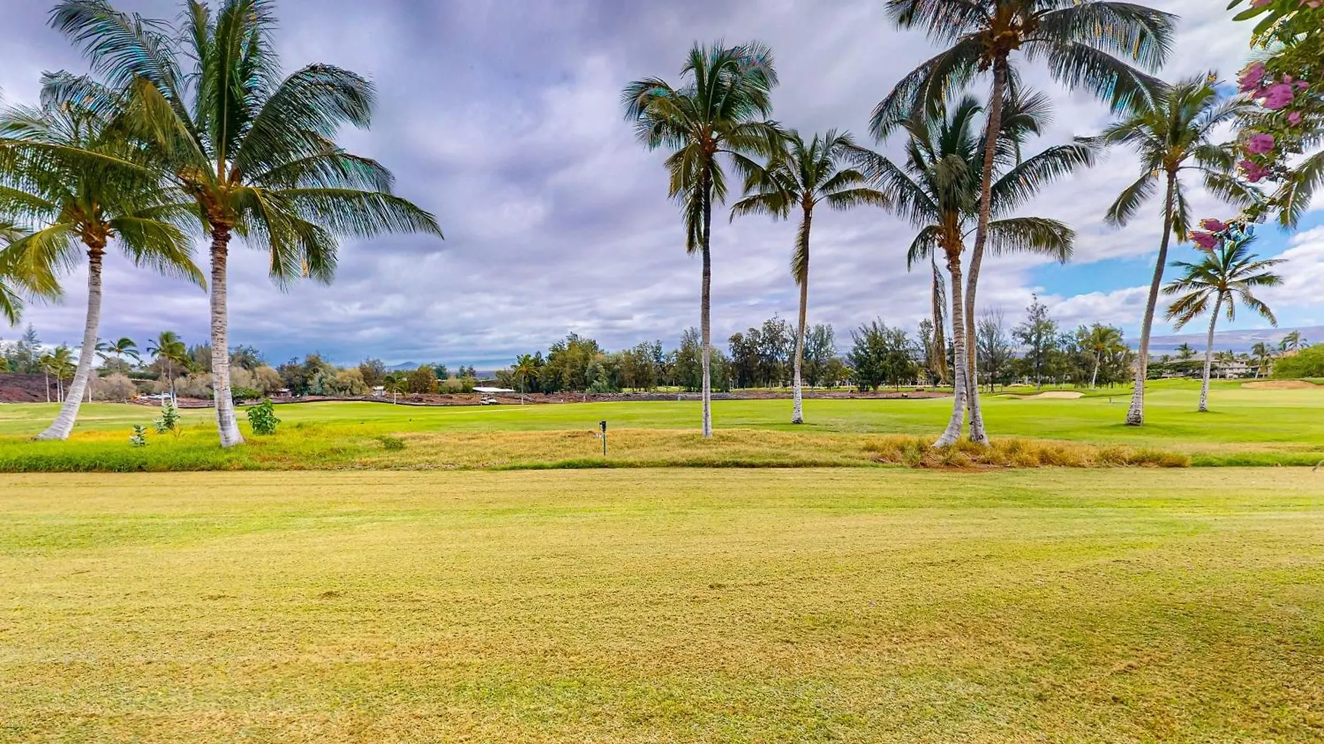 Lejlighed Waikoloa Fairway Villas D1 USA